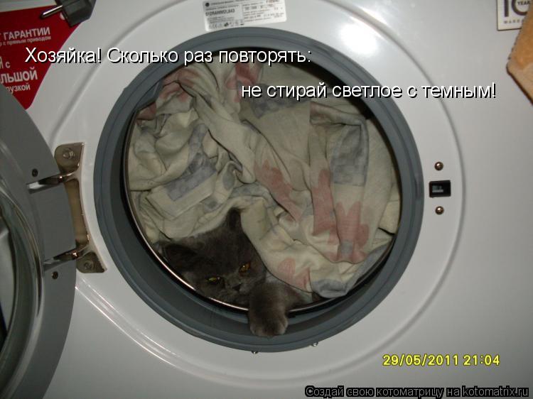 Хозяйка! Сколько раз повторять: не стирай светлое с темным!... Котоматрица: Хозяйка! Сколько раз повторять: не стирай светлое с темным!