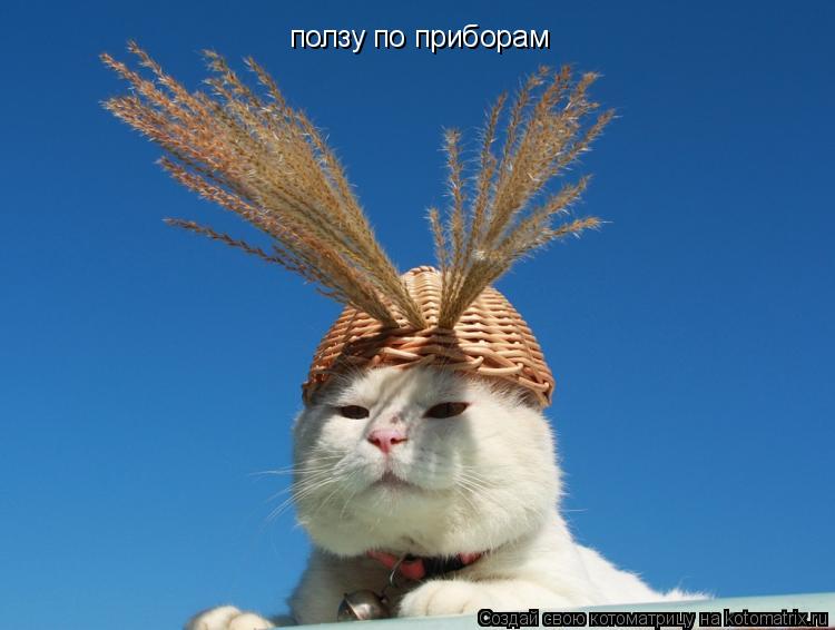 ползу по приборам... Котоматрица: ползу по приборам