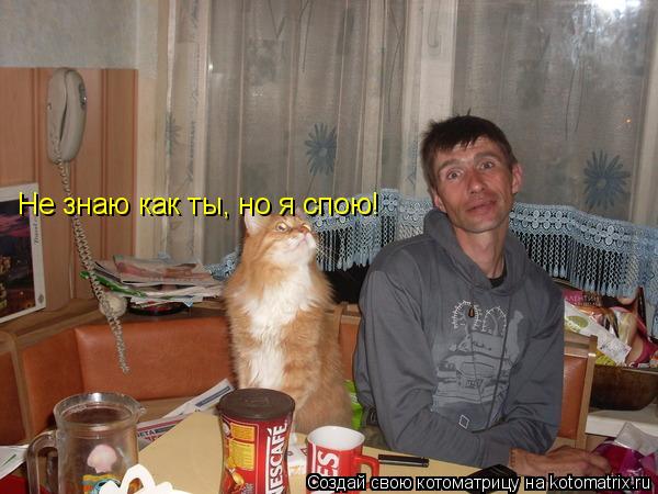 Не знаю как ты, но я спою!... Котоматрица: Не знаю как ты, но я спою!