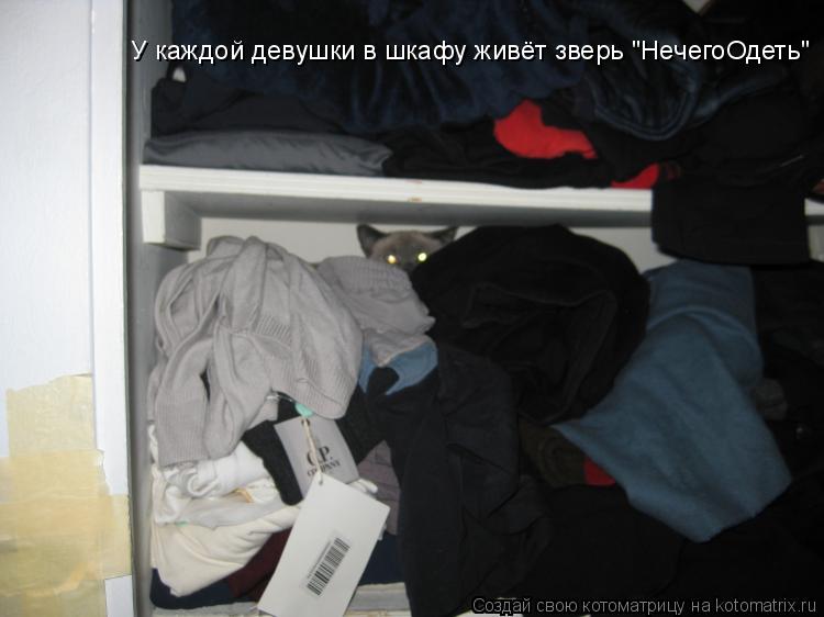 У каждой девушки в шкафу живёт зверь "НечегоОдеть"... Котоматрица: У каждой девушки в шкафу живёт зверь "НечегоОдеть"