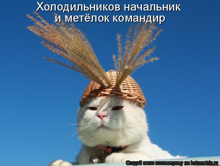 Холодильников начальник и метёлок командир... Котоматрица: Холодильников начальник и метёлок командир