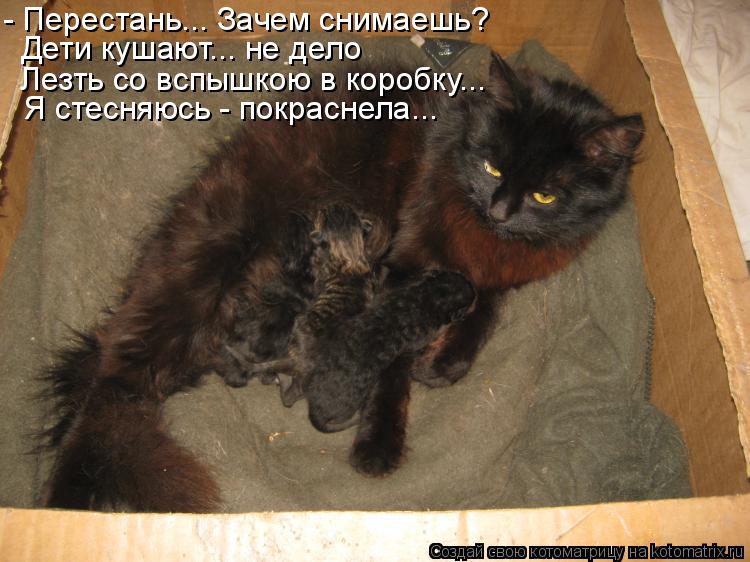 - Перестань... Зачем снимаешь? Дети кушают... не дело Лезть со вспышкою в коробку... Я стесняюсь - по... Котоматрица: - Перестань... Зачем снимаешь? Дети кушают... не дело Лезть со вспышкою в коробку... Я стесняюсь - покраснела...