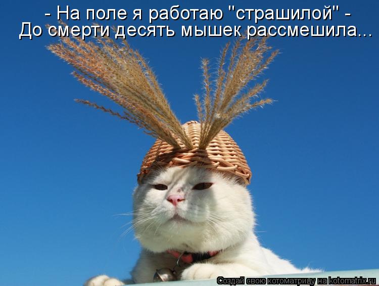 - На поле я работаю "страшилой" - До смерти десять мышек рассмешила...... Котоматрица: - На поле я работаю "страшилой" - До смерти десять мышек рассмешила...