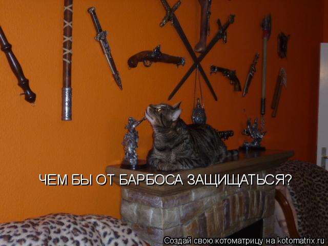 ЧЕМ БЫ ОТ БАРБОСА ЗАЩИЩАТЬСЯ?... Котоматрица: ЧЕМ БЫ ОТ БАРБОСА ЗАЩИЩАТЬСЯ?