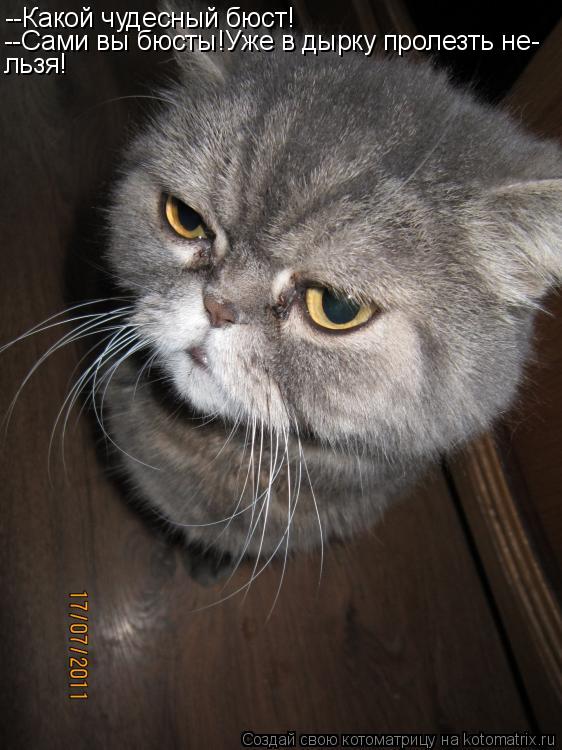 Котоматрица: --Какой чудесный бюст! --Сами вы бюсты!Уже в дырку пролезть не- льзя!