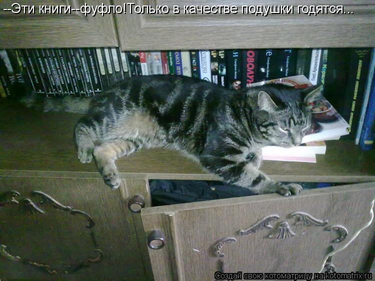 Котоматрица: --Эти книги--фуфло!Только в качестве подушки годятся...