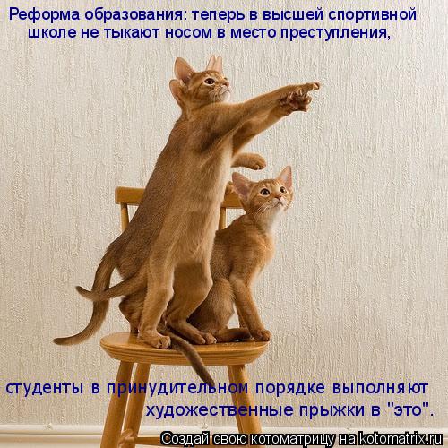Котоматрица: Реформа образования: теперь в высшей спортивной школе не тыкают носом в место преступления,  студенты в принудительном порядке выполняют х