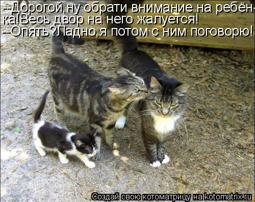 Котоматрица: --Дорогой,ну обрати внимание на ребён- ка!Весь двор на него жалуется! --Опять?Ладно,я потом с ним поговорю!