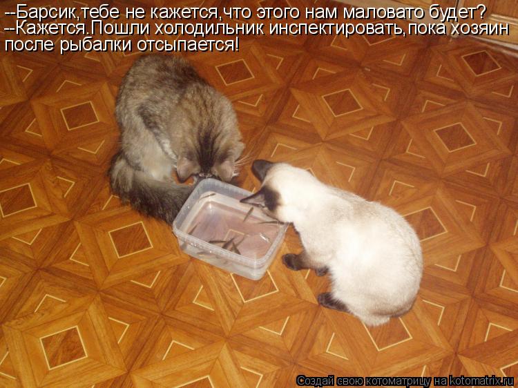 Котоматрица: --Барсик,тебе не кажется,что этого нам маловато будет? --Кажется.Пошли холодильник инспектировать,пока хозяин после рыбалки отсыпается!