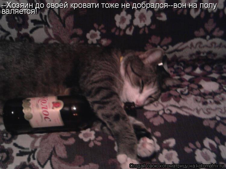 Котоматрица: --Хозяин до своей кровати тоже не добрался--вон на полу валяется!