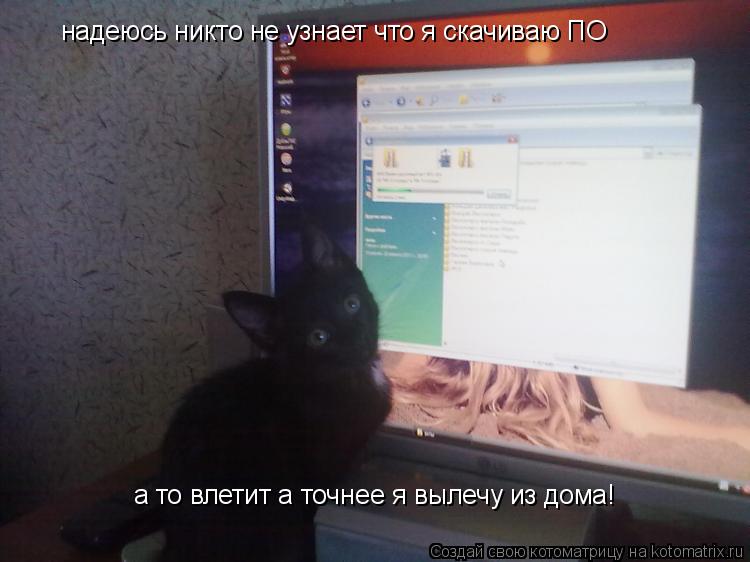 Котоматрица: надеюсь никто не узнает что я скачиваю ПО а то влетит а точнее я вылечу из дома!