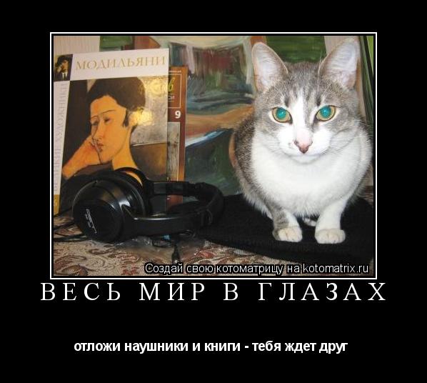 Весь мир в глазах отложи наушники и книги - тебя ждет друг ... Котоматрица: Весь мир в глазах отложи наушники и книги - тебя ждет друг