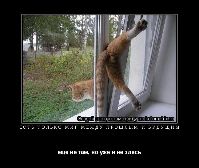 Котоматрица: есть только МИГ между прошлым и будущим еще не там, но уже и не здесь