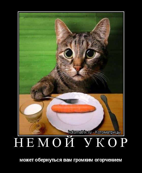 немой укор может обернуться вам громким огорчением... Котоматрица: немой укор может обернуться вам громким огорчением