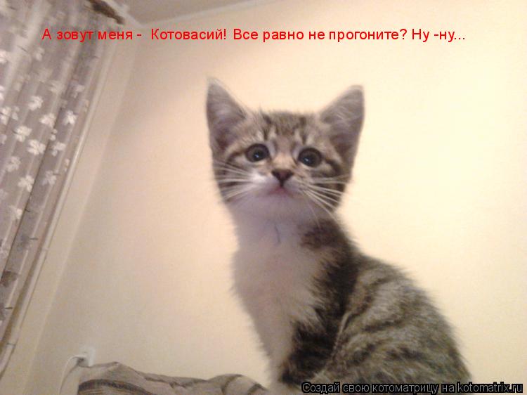 Котоматрица: А зовут меня -  Котовасий! Все равно не прогоните? Ну -ну...