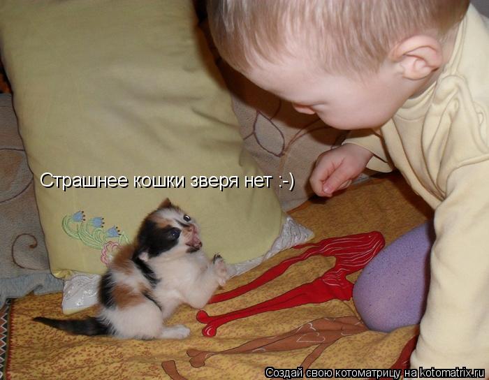 Котоматрица: Страшнее кошки зверя нет :-)