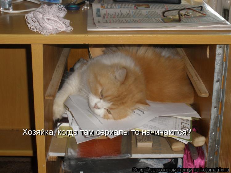 Котоматрица: Хозяйка, когда там сериалы то начинаются?
