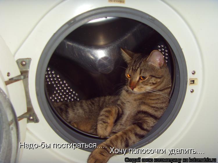 Котоматрица: Надо-бы постираться.....  Хочу полосочки удалить....