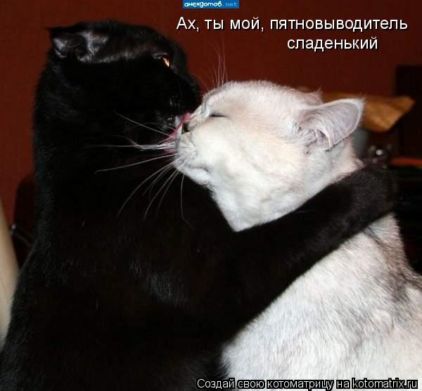 Котоматрица: Ах, ты мой, пятновыводитель сладенький