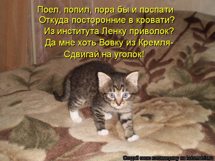 Котоматрица: Поел, попил, пора бы и поспати Откуда посторонние в кровати? Из института Ленку приволок? Да мне хоть Вовку из Кремля- Сдвигай на уголок!
