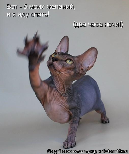 Котоматрица: Вот - 5 моих желаний, и я иду спать! (два часа ночи!)