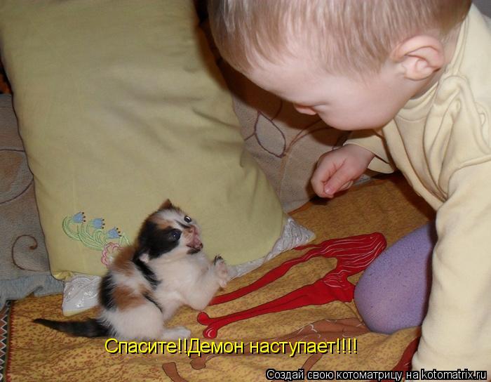 Котоматрица: Спасите!!Демон наступает!!!!
