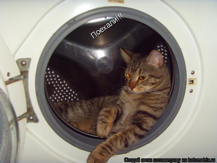 Котоматрица: Поехали!!!