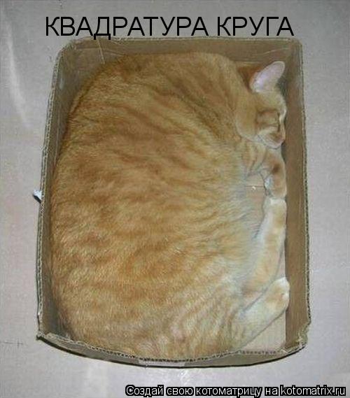 Котоматрица: КВАДРАТУРА КРУГА