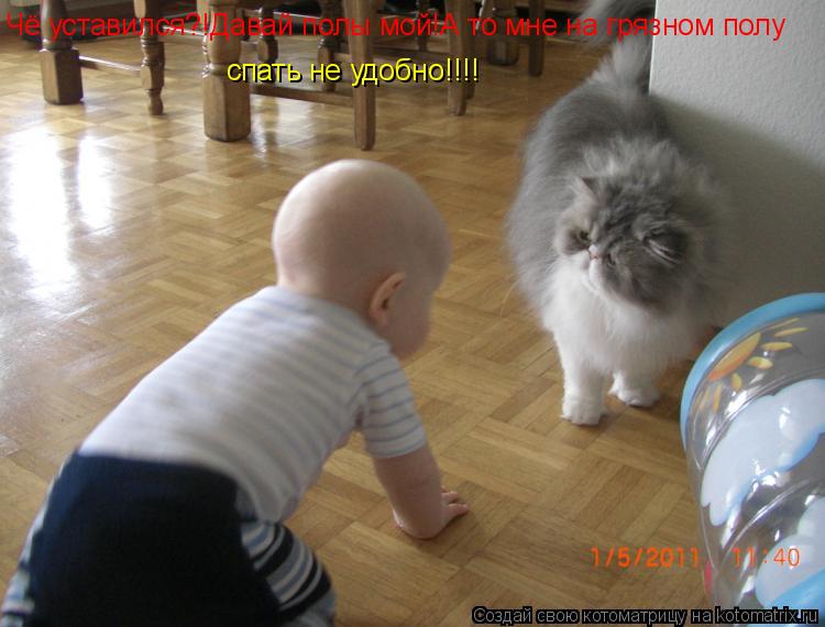 Котоматрица: Чё уставился?!Давай полы мой!А то мне на грязном полу спать не удобно!!!!