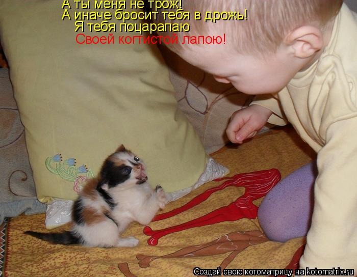 Котоматрица: А ты меня не трож! А иначе бросит тебя в дрожь! Я тебя поцарапаю Своей когтистой лапою!