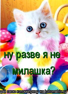 Котоматрица: ну разве я не  ну разве я не милашка? милашка?