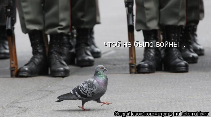 чтоб не было войны...... Котоматрица: чтоб не было войны...