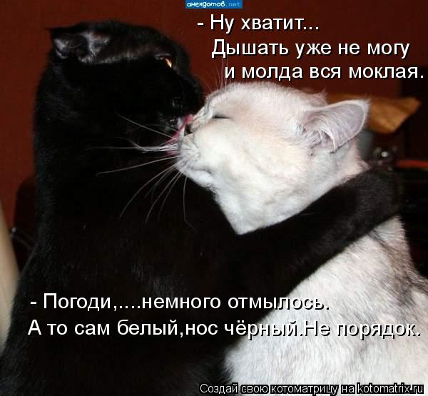 - Ну хватит... Дышать уже не могу и молда вся моклая. - Погоди,....немного отмылось. А то сам белый,н... Котоматрица: - Ну хватит... Дышать уже не могу и молда вся моклая. - Погоди,....немного отмылось. А то сам белый,нос чёрный.Не порядок.