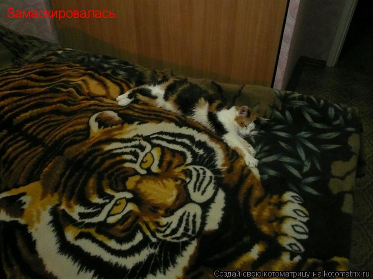Замаскировалась.... Котоматрица: Замаскировалась.