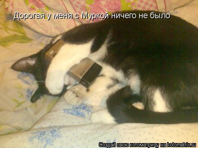Дорогая у меня с Муркой ничего не было... Котоматрица: Дорогая у меня с Муркой ничего не было