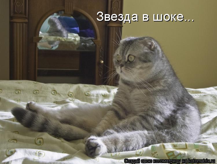 Звезда в шоке...... Котоматрица: Звезда в шоке...