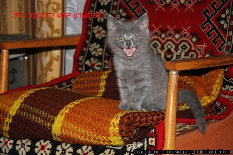 Это просто моя улыбка!... Котоматрица: Это просто моя улыбка!