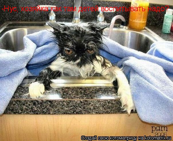 -Нус, хозяйка как там детей воспитывать надо?... Котоматрица: -Нус, хозяйка как там детей воспитывать надо?