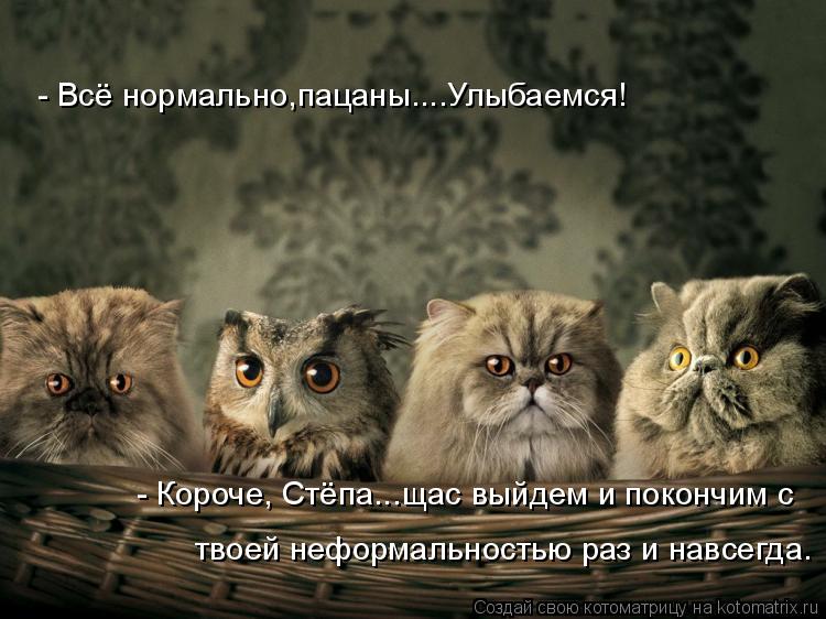 - Всё нормально,пацаны....Улыбаемся! - Короче, Стёпа...щас выйдем и покончим с твоей,как её.....экст... Котоматрица: - Всё нормально,пацаны....Улыбаемся! - Короче, Стёпа...щас выйдем и покончим с твоей,как её.....экстравагантностьюраз и навсегда. твоей неформал
