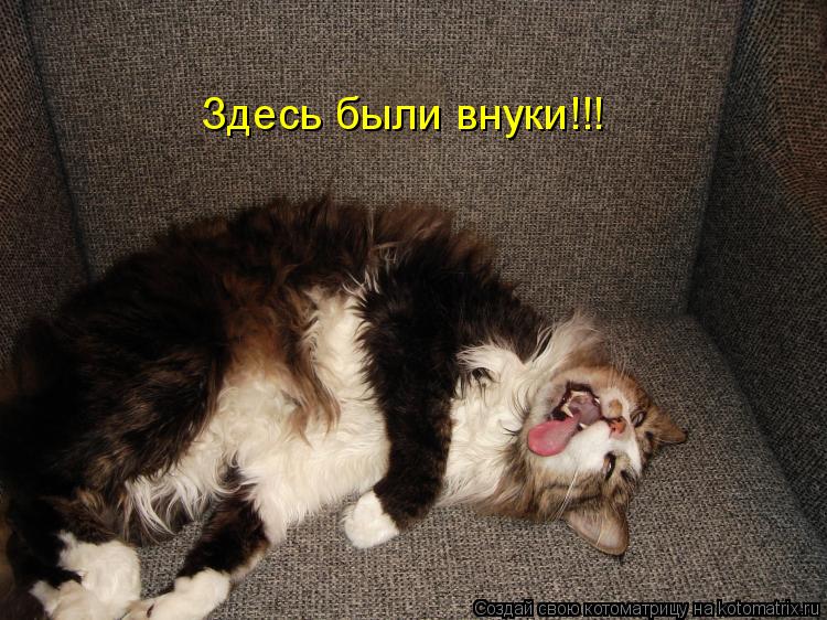 Здесь были внуки!!!... Котоматрица: Здесь были внуки!!!