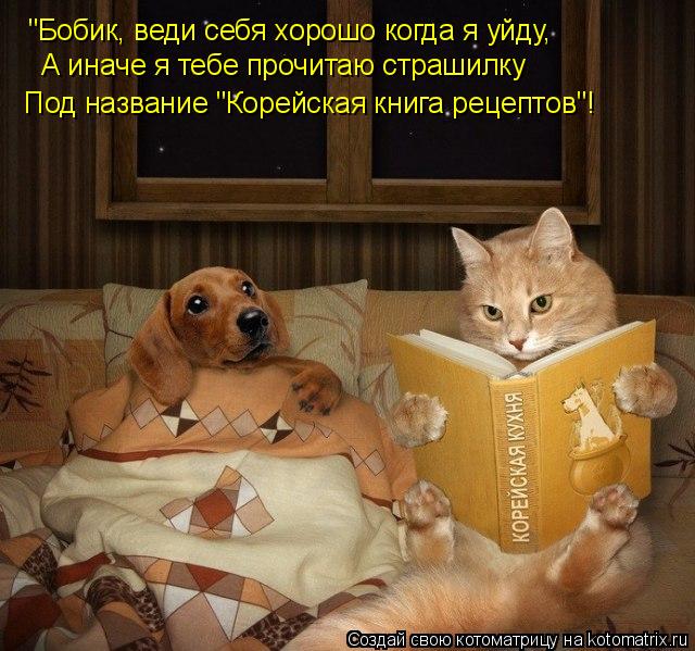 "Бобик, веди себя хорошо когда я уйду, А иначе я тебе прочитаю страшилку Под название "Корейская книг... Котоматрица: "Бобик, веди себя хорошо когда я уйду, А иначе я тебе прочитаю страшилку Под название "Корейская книга рецептов"!
