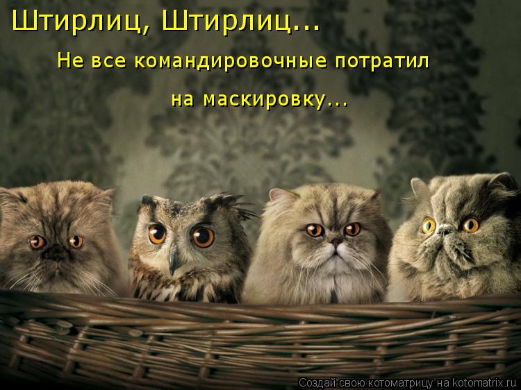 Штирлиц, Штирлиц... Не все командировочные потратил на маскировку...... Котоматрица: Штирлиц, Штирлиц... Не все командировочные потратил на маскировку...