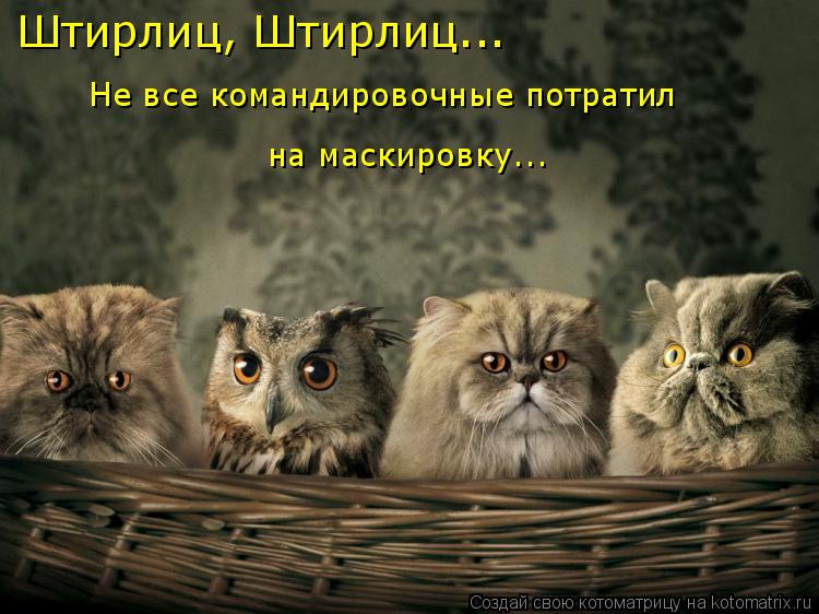 Котоматрица: Штирлиц, Штирлиц... Не все командировочные потратил на маскировку...