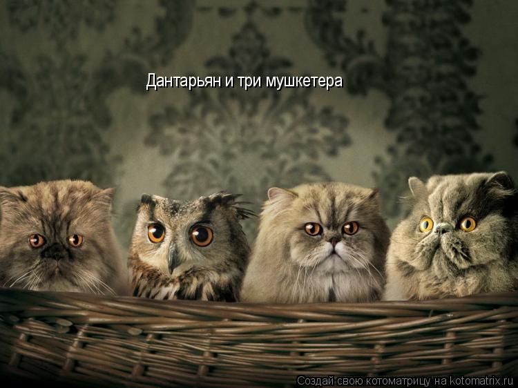 Дантарьян и три мушкетера... Котоматрица: Дантарьян и три мушкетера
