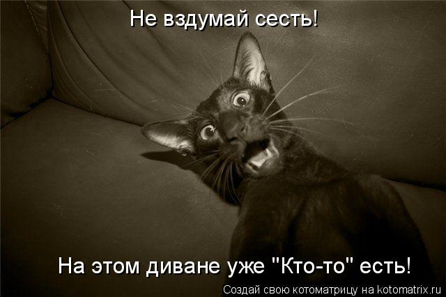 Не вздумай сесть! На этом диване уже "Кто-то" есть!... Котоматрица: Не вздумай сесть! На этом диване уже "Кто-то" есть!