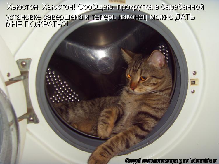 Котоматрица: Хьюстон, Хьюстон! Сообщаю: прокрутка в барабанной  установке завершена и теперь наконец можно ДАТЬ  МНЕ ПОЖРАТЬ?!