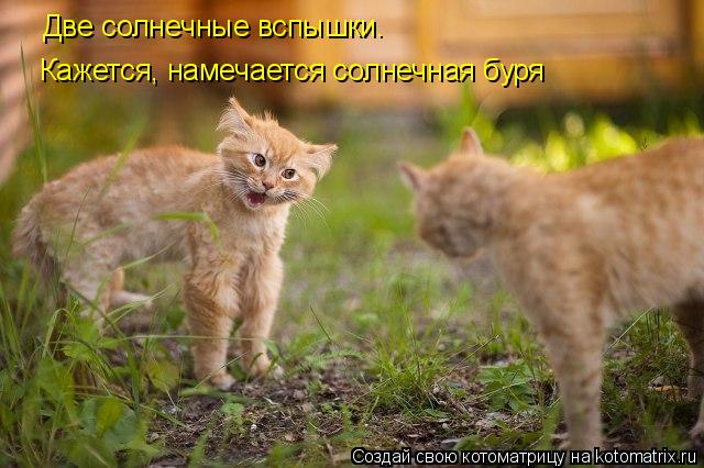 Котоматрица: Две солнечные вспышки. Кажется, намечается солнечная буря