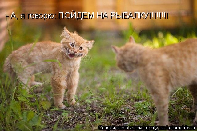 Котоматрица: - А, я говорю: ПОЙДЕМ НА РЫБАЛКУ!!!!!!!!