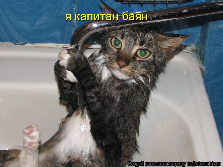 Котоматрица: я капитан баян