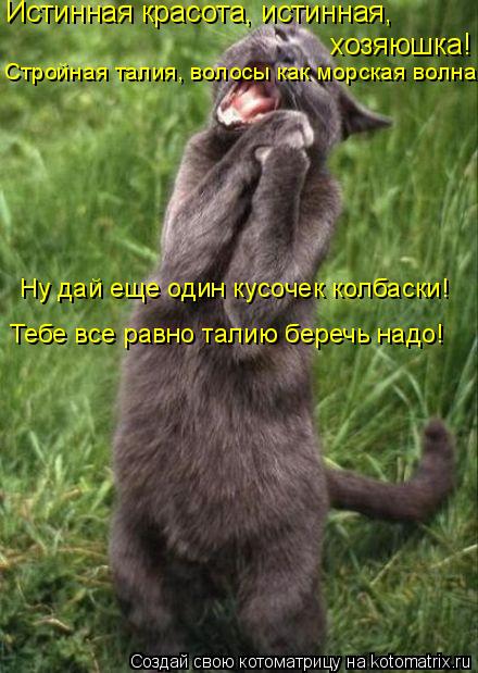 Котоматрица: Истинная красота, истинная, хозяюшка! Ну дай еще один кусочек колбаски! Стройная талия, волосы как морская волна! Тебе все равно талию береч